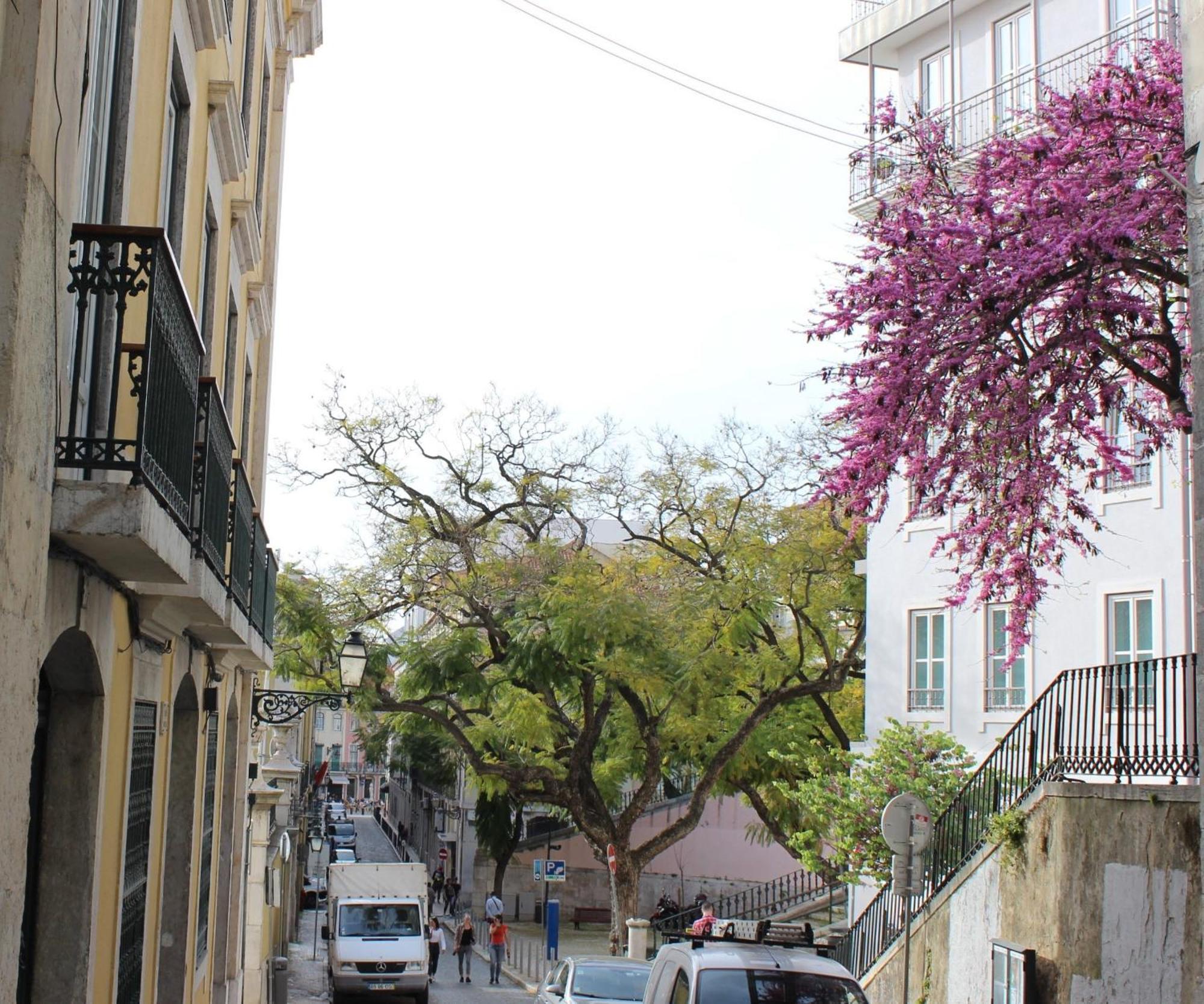 Retrato De Lisboa Apartment Екстериор снимка